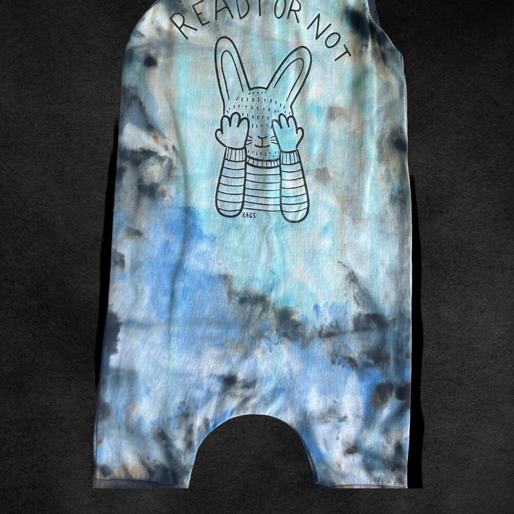 CUSTOM Rags to Raches Rabbit  2T - Picture 2 of 2